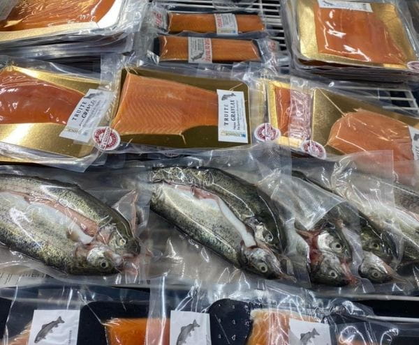 Truite du Haut-Verdon