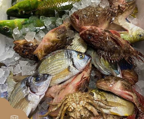 Pêche du jour de Serge et Anick