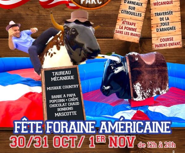 Affiche Viking parc