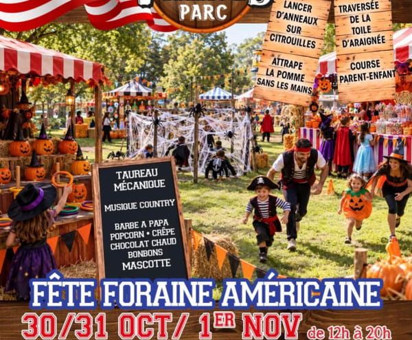 Affiche Viking parc