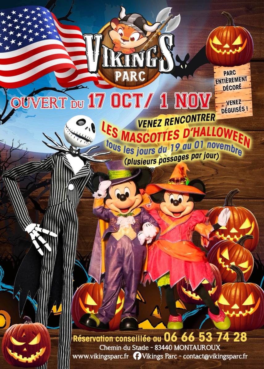 Affiche Viking parc